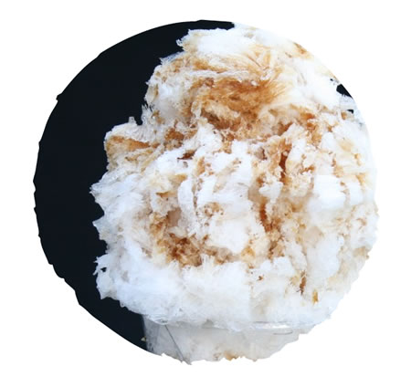 富士山かき氷べべ